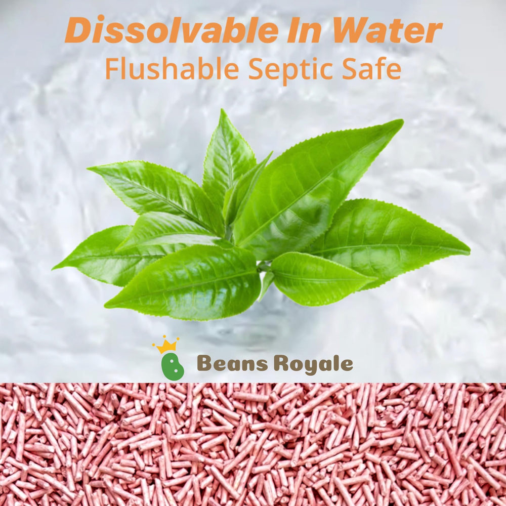 Beans Royale flushable-toilet-use depicts flushable litter for simple disposal.