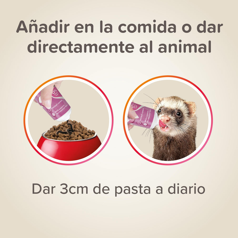 Beaphar Malt Paste Ferrets moulting-season use highlights paste texture