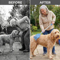 Bearbark extendable scratcher shows aluminum handle and gentle bristles for medium-to-large dogs