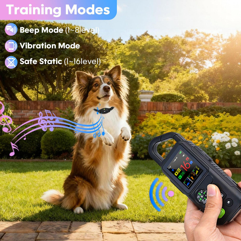 Beatails training collar waterproof IPX7 for all-weather use