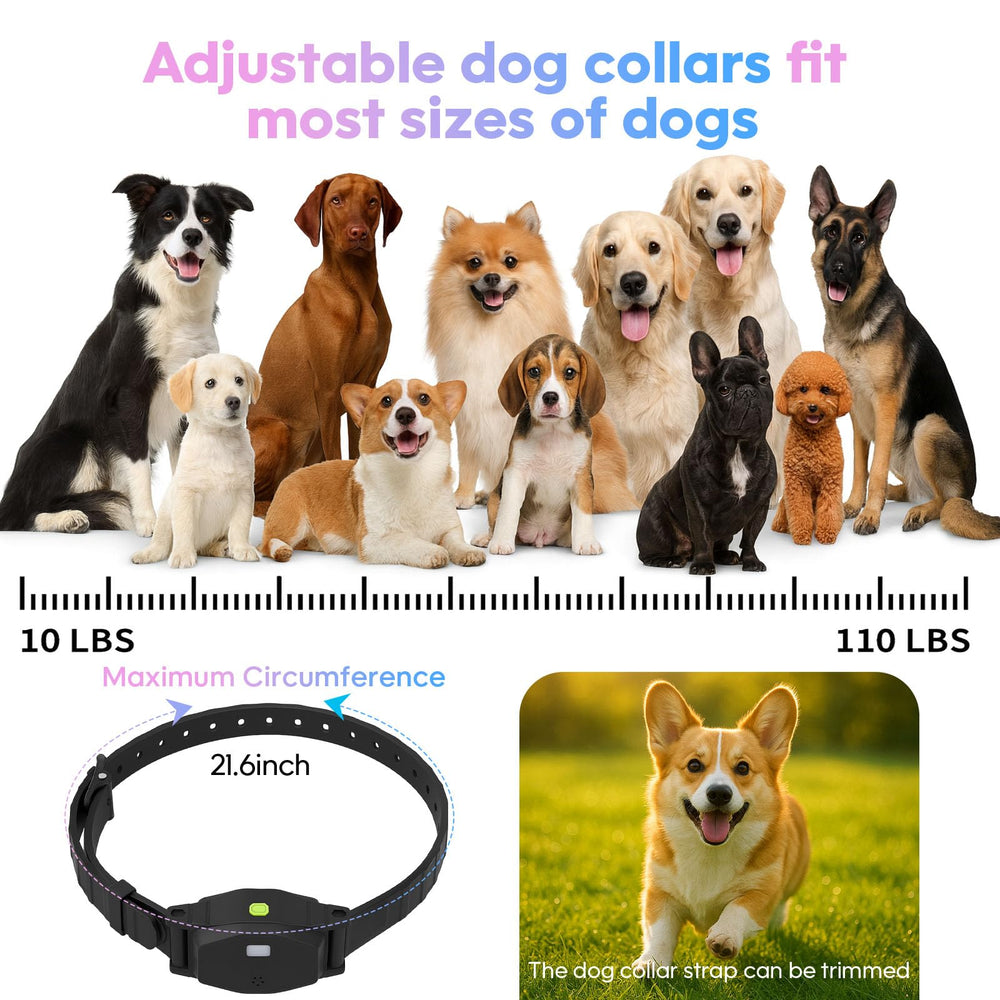 Beatails two-dogs system visualizing shared safety features