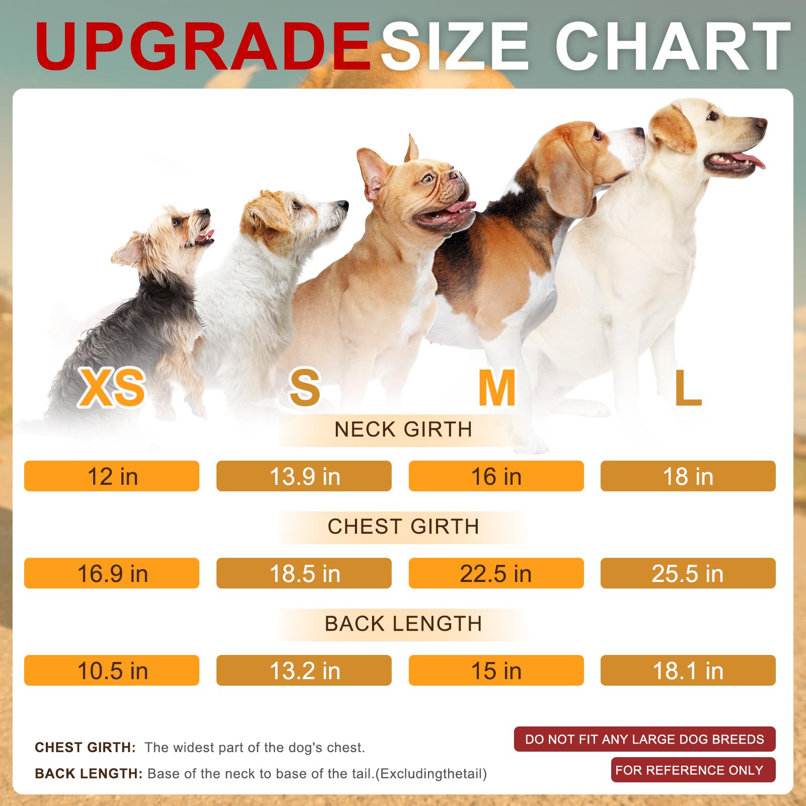 BEAUTYZOO bright yellow with reflective striping enhances visibility during evening strolls