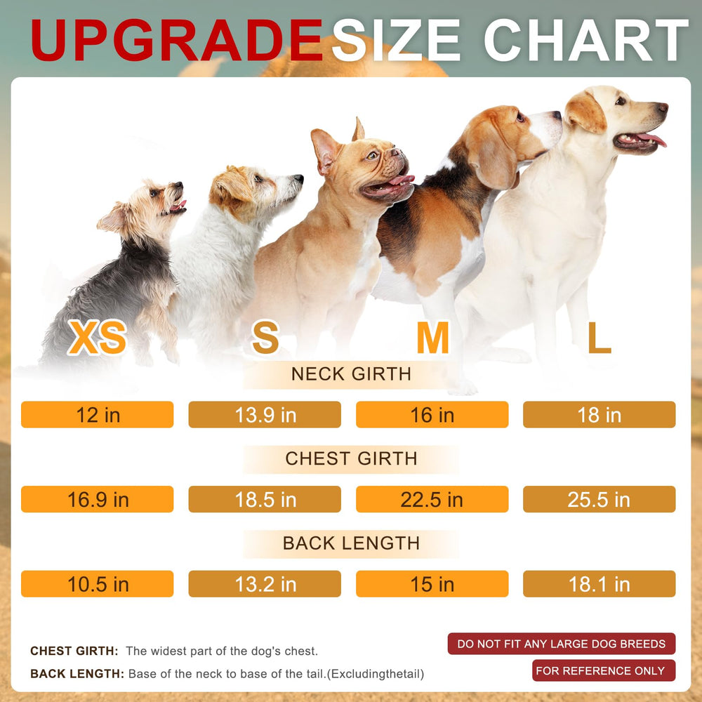 BEAUTYZOO bright yellow with reflective striping enhances visibility during evening strolls