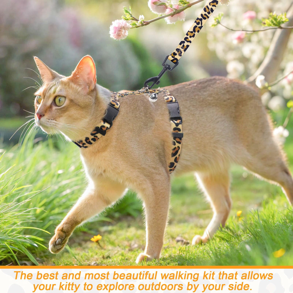 BEAUTYZOO cat harness adjustable sternum slider for a custom fit across sizes