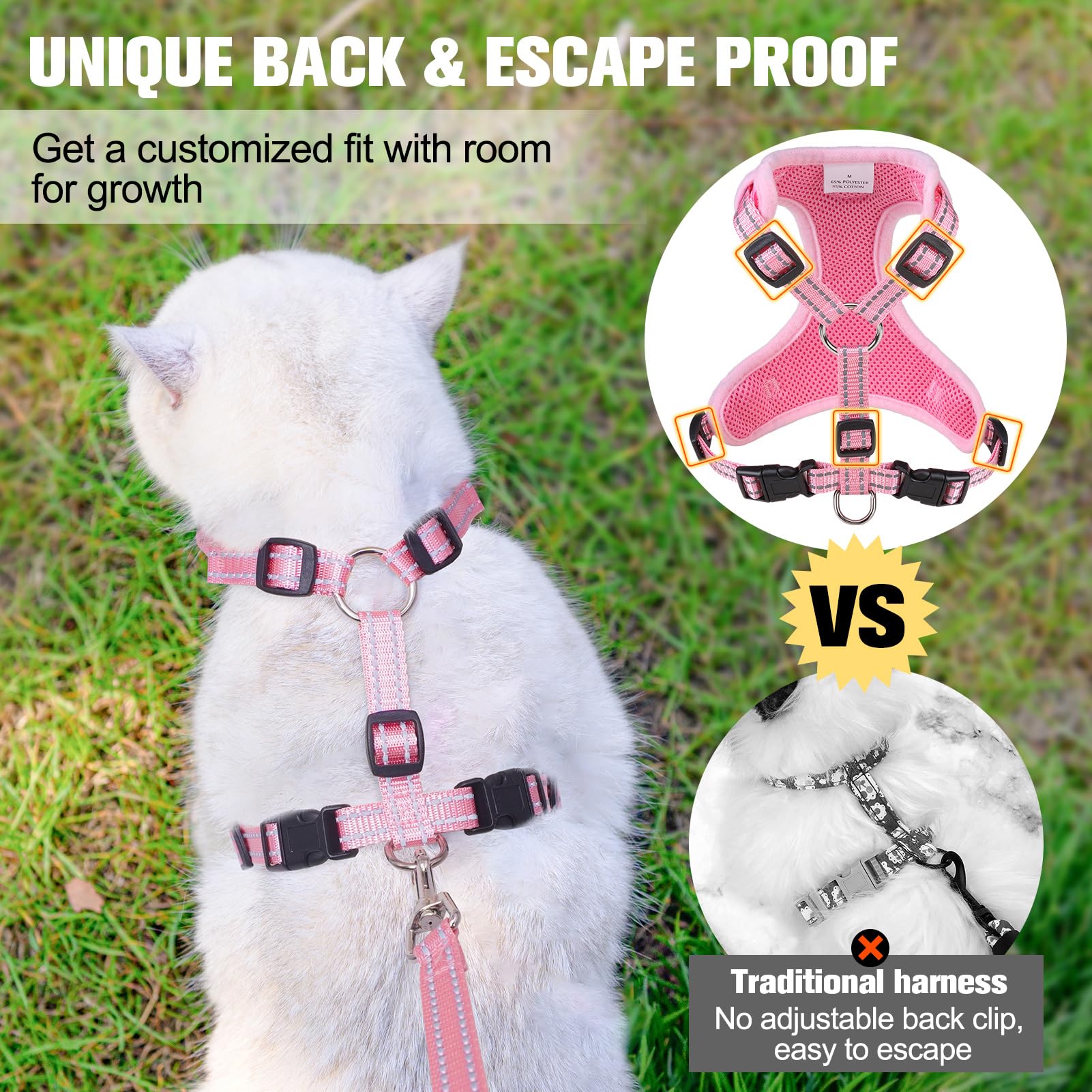 BEAUTYZOO 5-foot leash attached to secure D-ring for active play