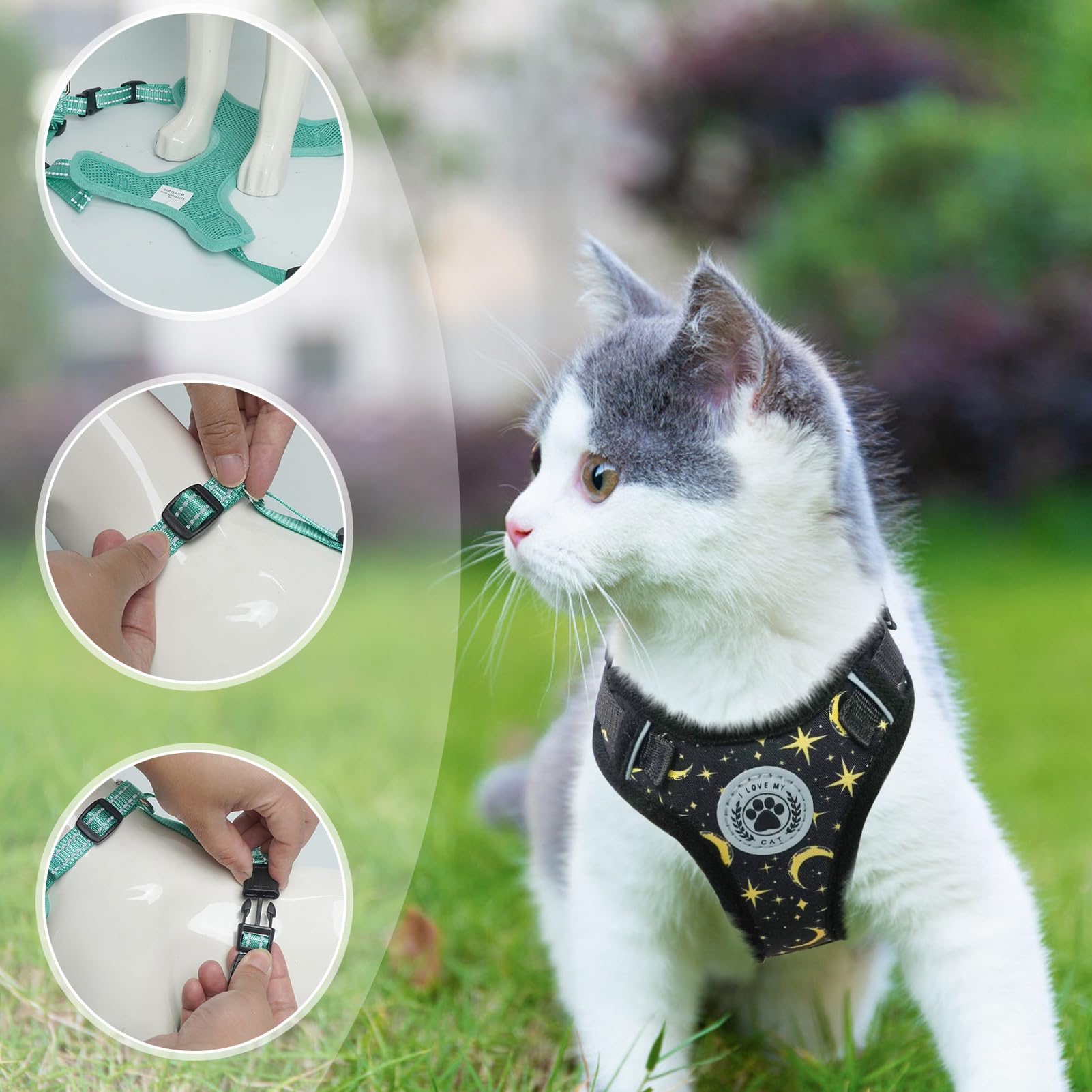 BEAUTYZOO night walk setup helps maintain visibility during low light outdoor activities.