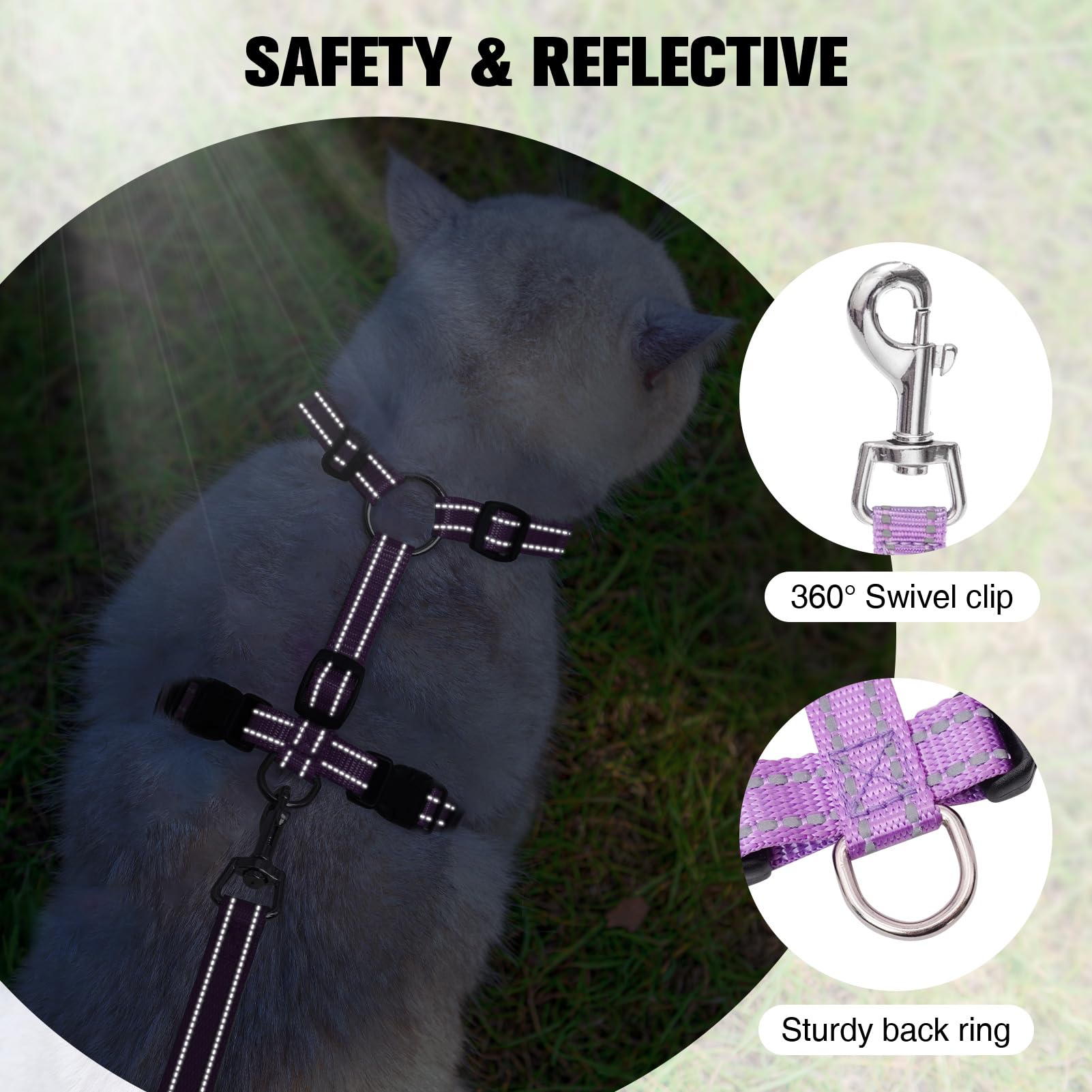BEAUTYZOO cat harness size chart guides safe, comfortable fit for cats
