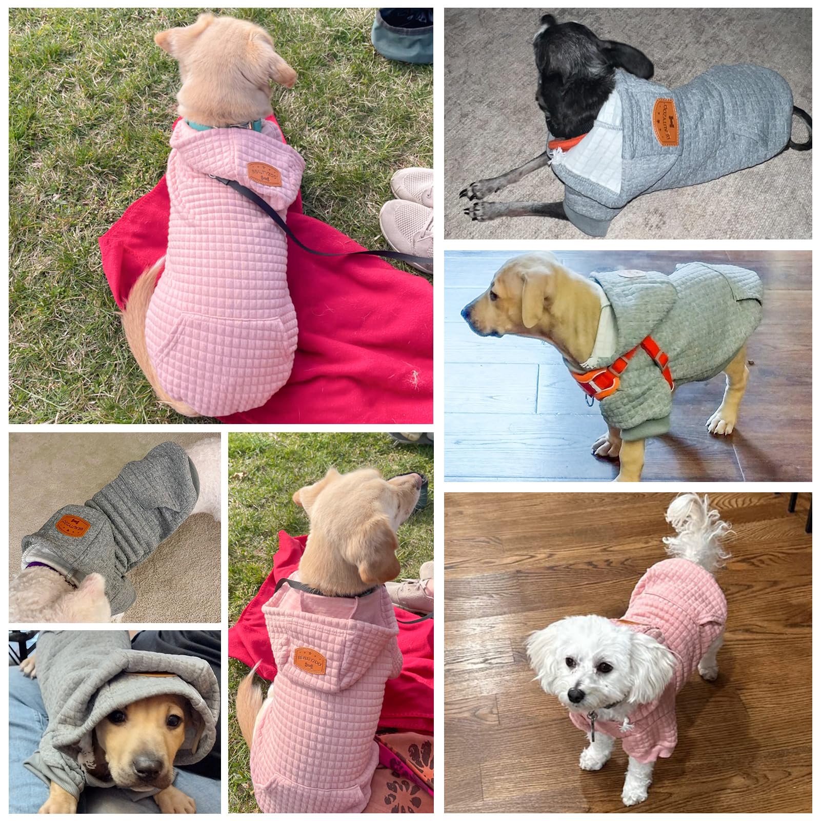 BEAUTYZOO color varieties dog hoodie offers multiple color options.