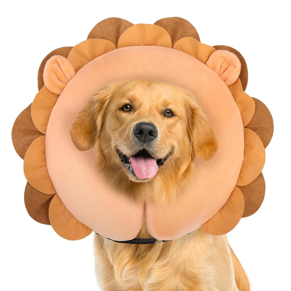 BEAUTYZOO dog cone alternative in a donut shape, inflates for comfortable postoperative wear.