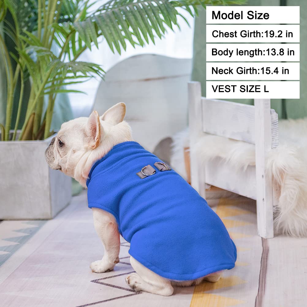 BEAUTYZOO vibrant color options suited for holidays and travel outfits.