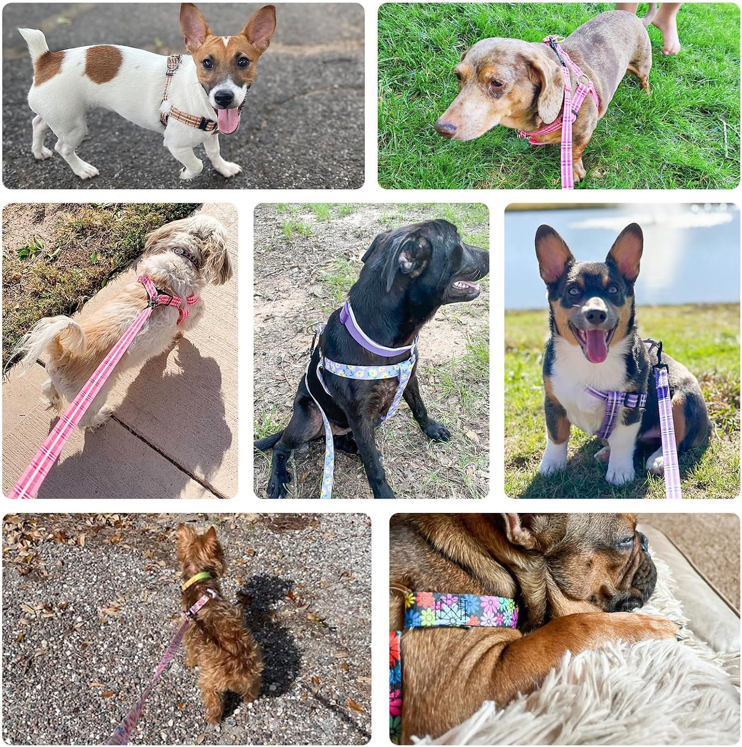 BEAUTYZOO dog harness pink XS nylon-durability supports daily use