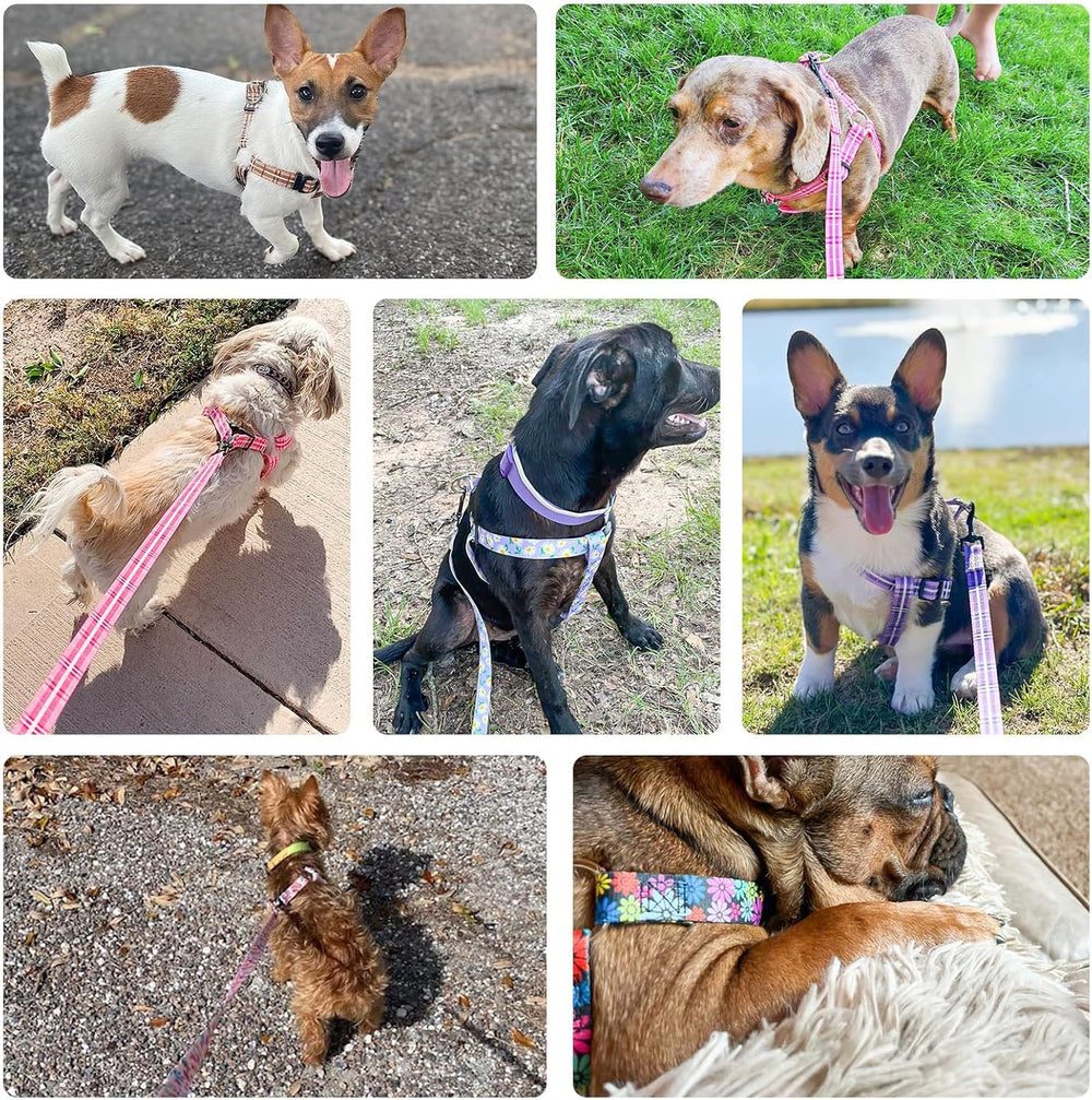 BEAUTYZOO dog harness pink XS nylon-durability supports daily use