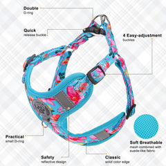 BEAUTYZOO small blue harness side view indicates adjustable fit for secure strolls