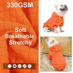 BEAUTYZOO dog hoodie leash-hole back view enables safe daily walking