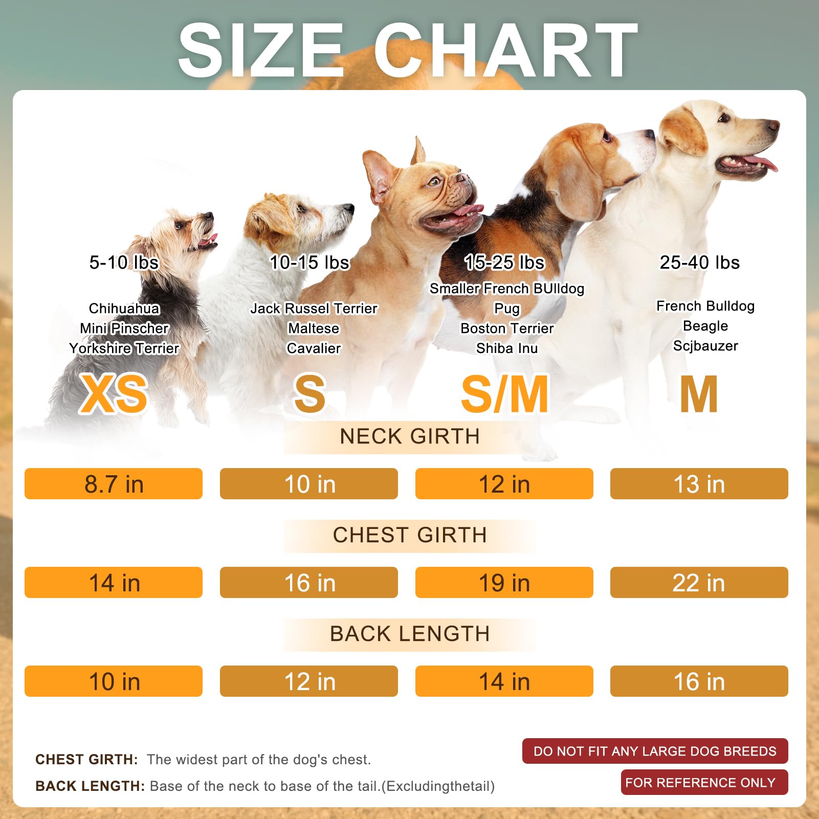 BEAUTYZOO size-chart reference guides proper fit before purchase.