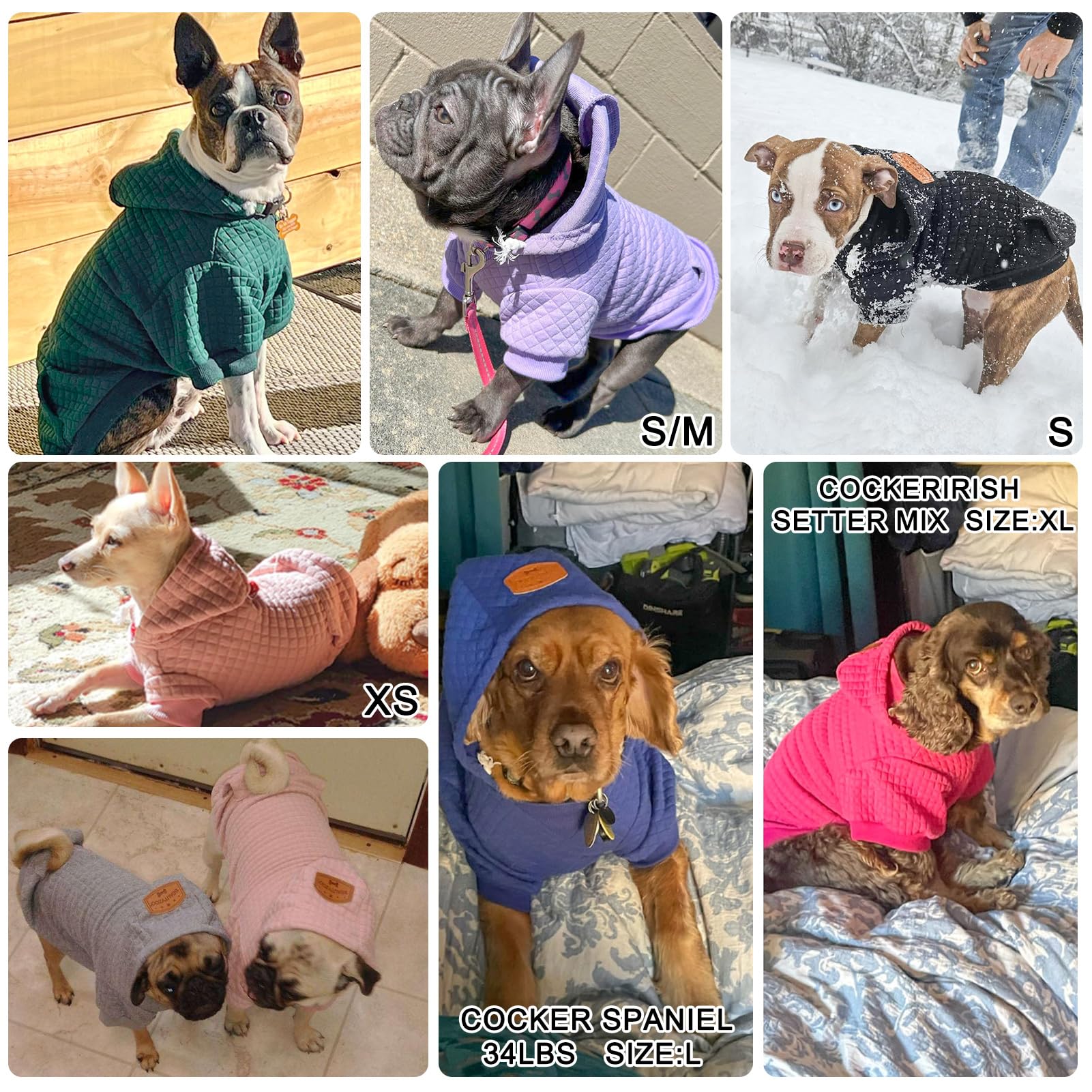 BEAUTYZOO dog hoodie three-piece hood with adjustable drawstring stays secure on chilly days.