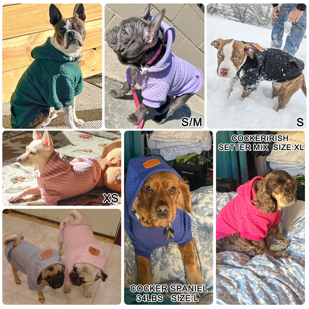 BEAUTYZOO dog hoodie-warm-breathable-fabric keeps your pet cozy in cold weather.