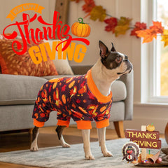 BEAUTYZOO dog pajamas in soft crystal velvet for cozy warmth.