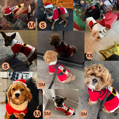 BEAUTYZOO dog Santa hat set adds holiday cheer during family gatherings