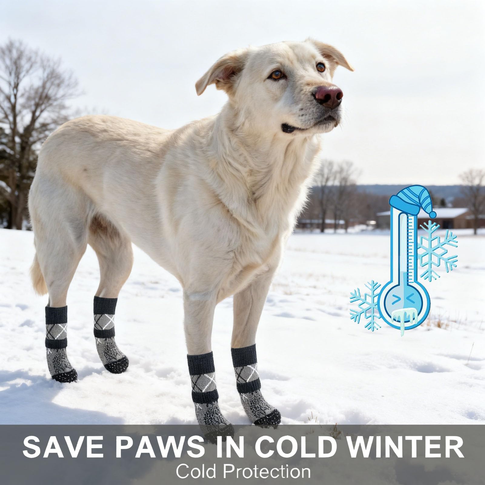 BEAUTYZOO dog socks adjustable ankle band closeup for secure fit