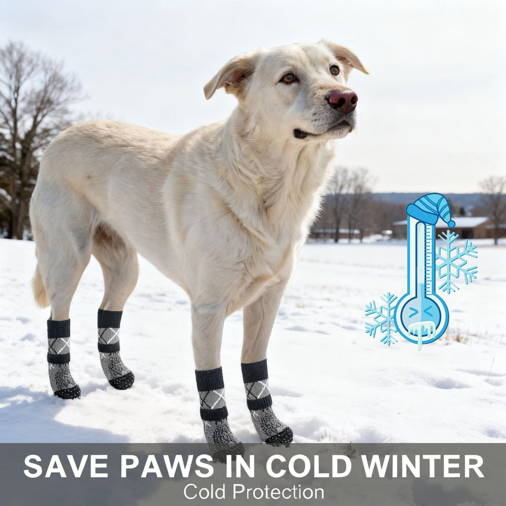 BEAUTYZOO dog socks adjustable ankle band closeup for secure fit