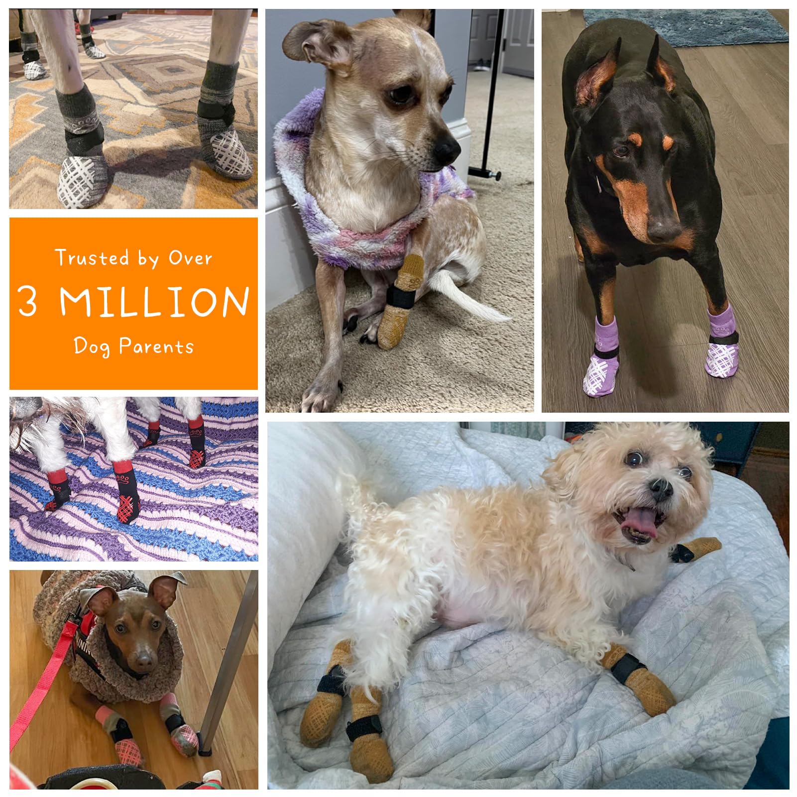 BEAUTYZOO Dog Socks with adjustable straps ensure a secure, snug fit.