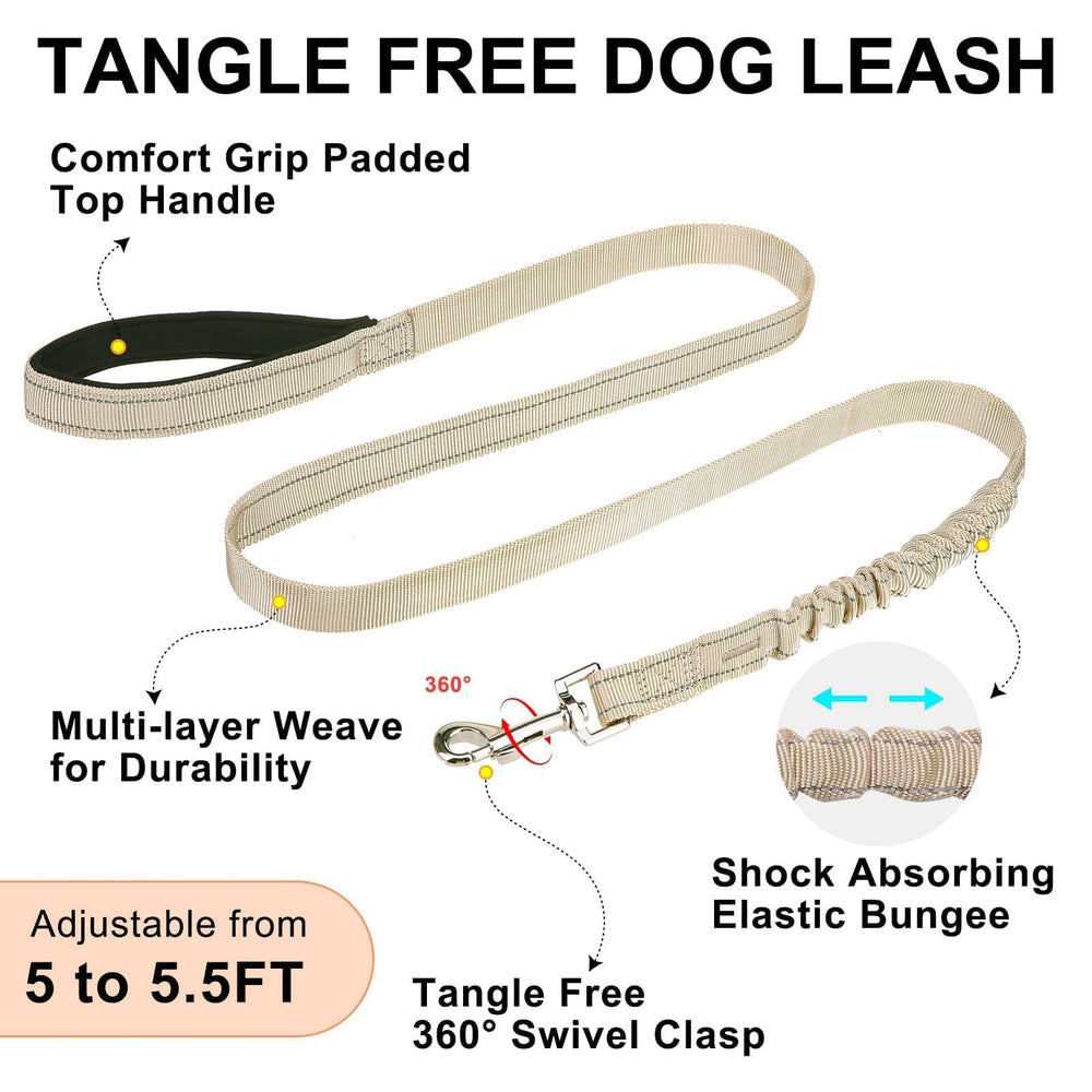 BEAUTYZOO dog walking scene shows comfortable training session