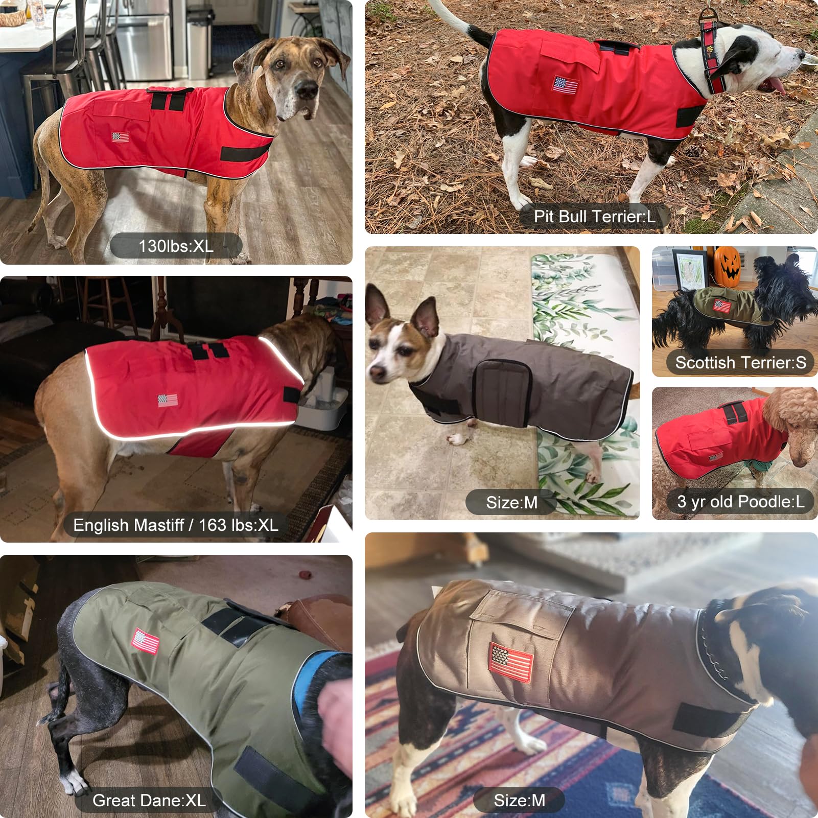 BEAUTYZOO dog winter coat back view highlights anti-theft pocket and reflective trim