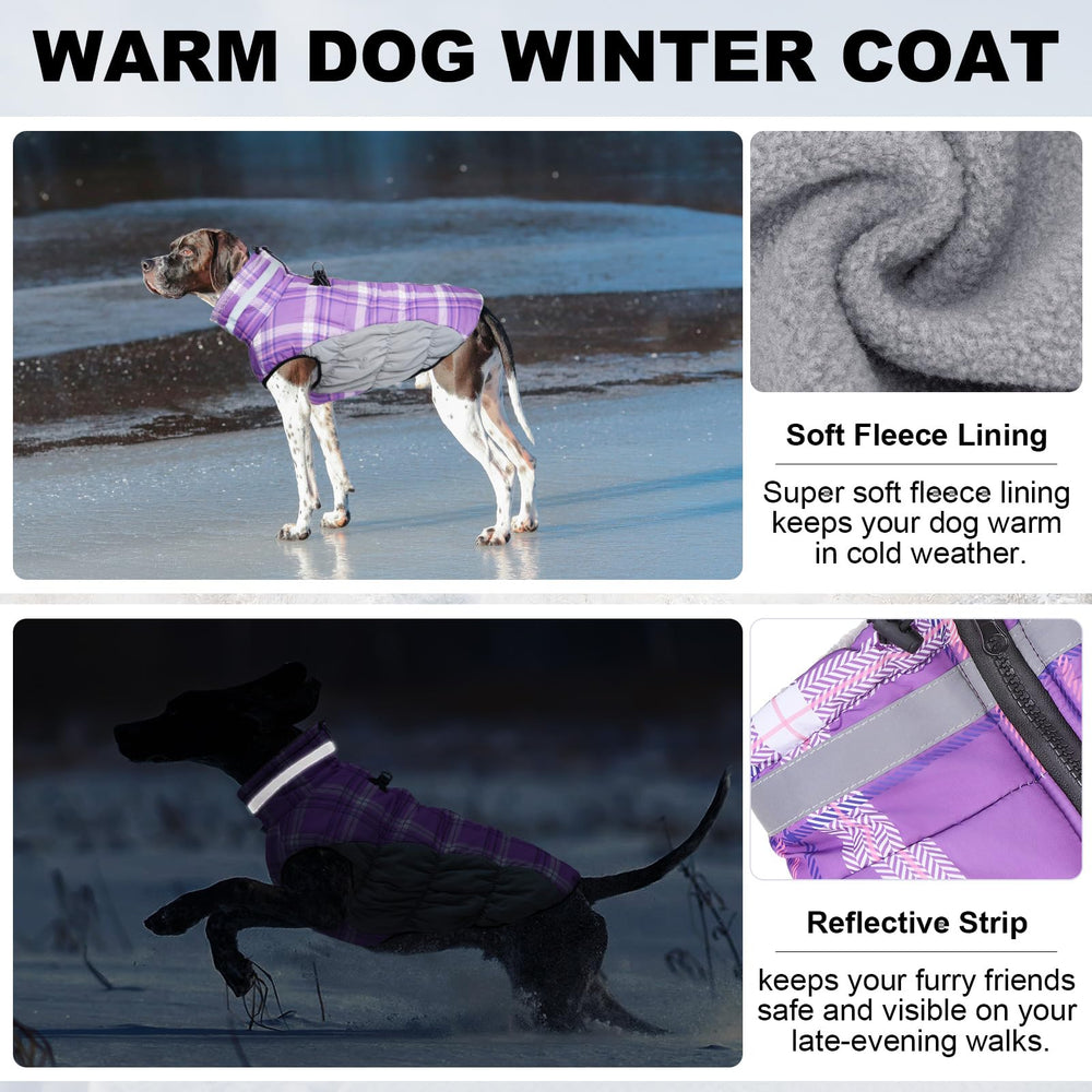 BEAUTYZOO winter coat back view emphasizing back D-ring and easy clip