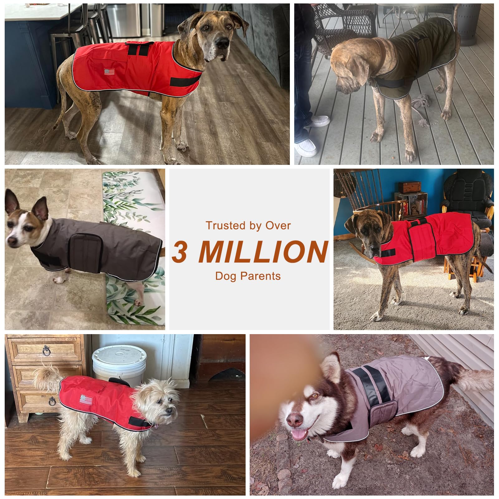 BEAUTYZOO dog winter coat reflective piping boosts night visibility