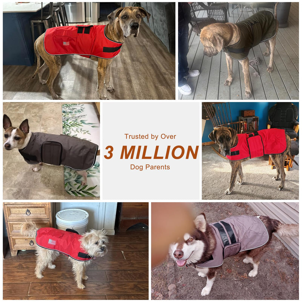BEAUTYZOO dog winter coat reflective piping boosts night visibility