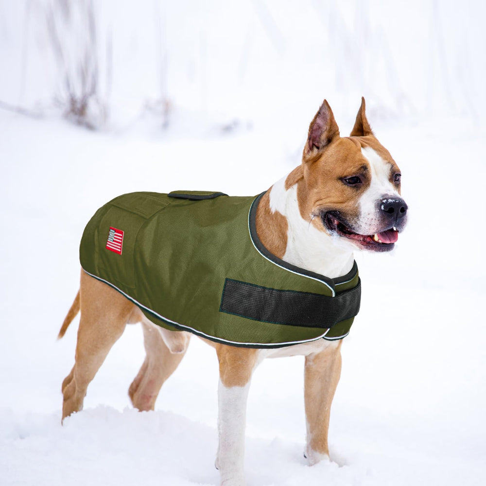 BEAUTYZOO dog winter coat XL measuring guide image helps fit.