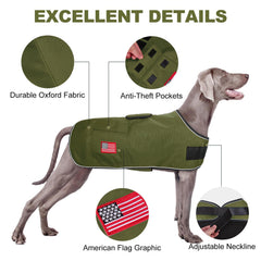 BEAUTYZOO dog winter coat XL on a green Great Dane during a walk.