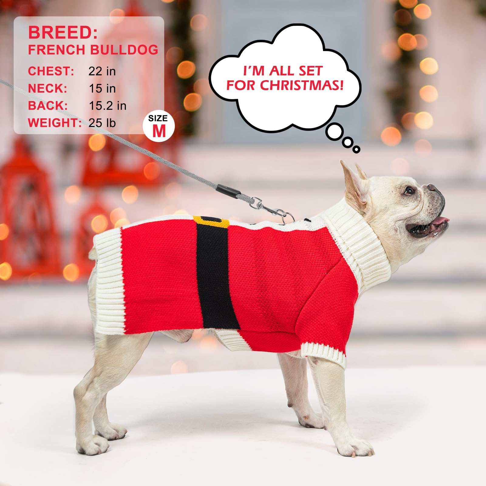 BEAUTYZOO winter-outfit keeps dogs cozy in cold weather outings