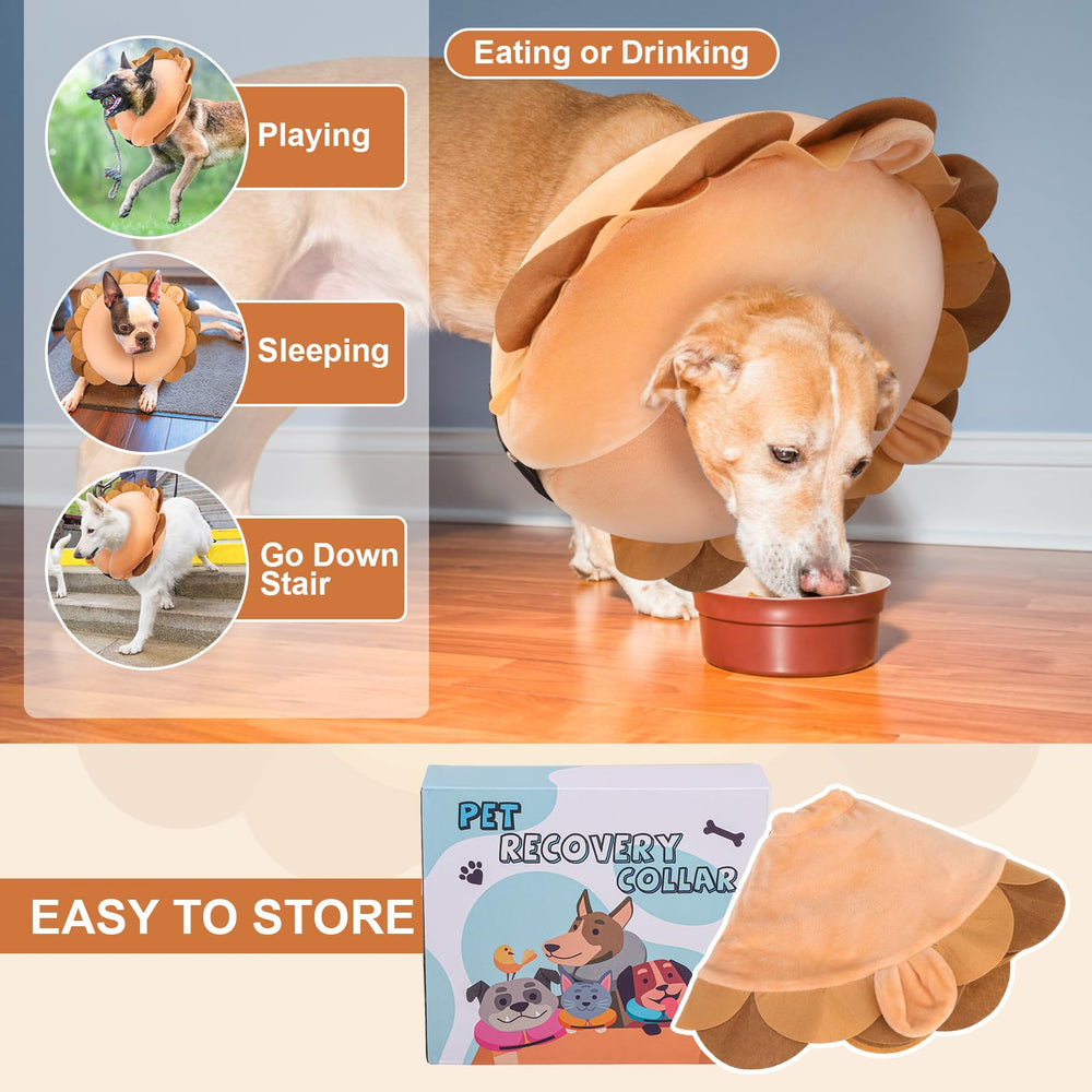 BEAUTYZOO easy-clean dog collar, machine-washable and quick to store.