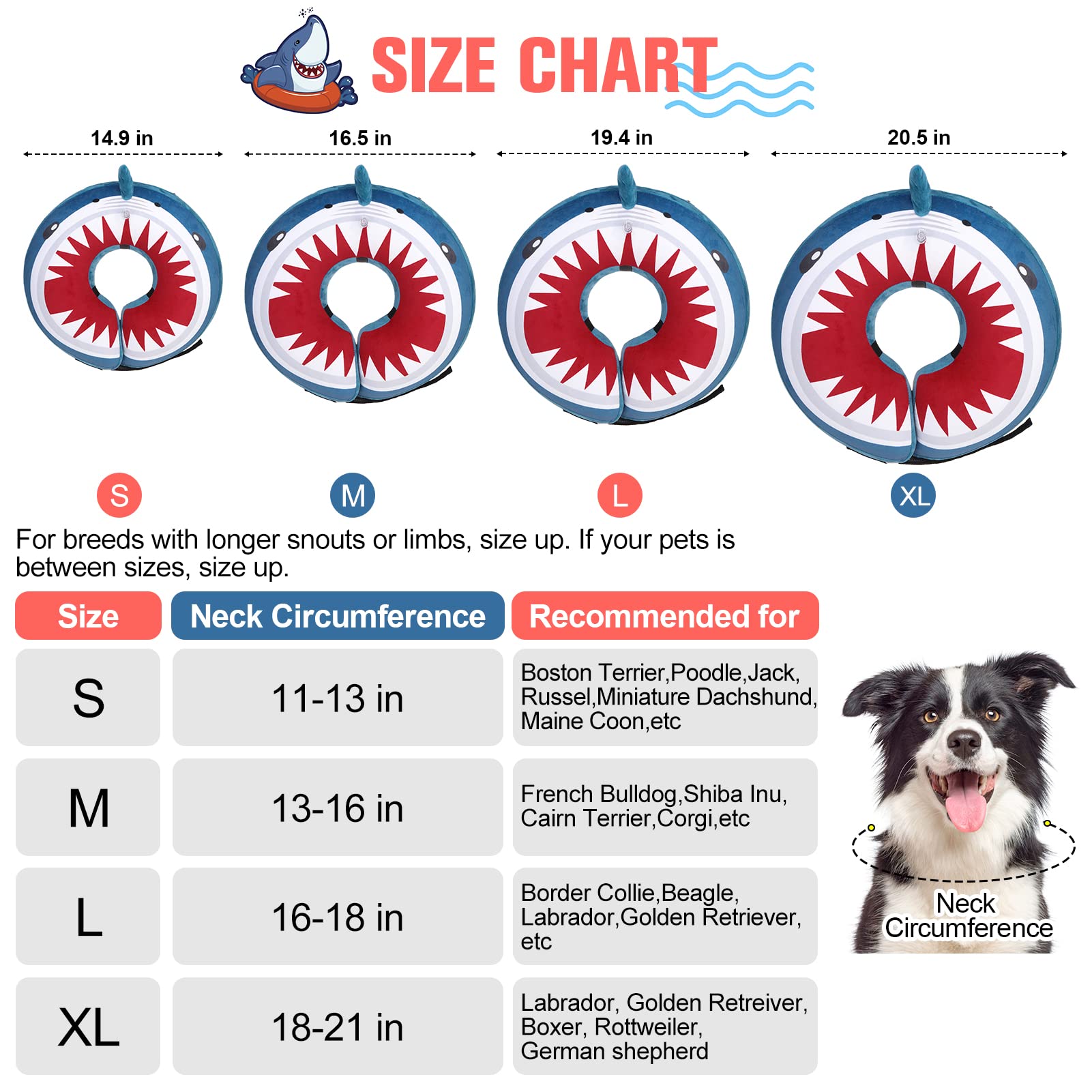BEAUTYZOO inflatable donut collar shark blue XL worn on a dog.
