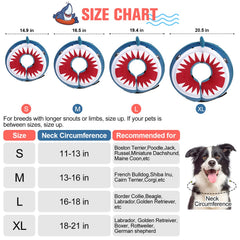 BEAUTYZOO inflatable donut collar shark blue XL worn on a dog.