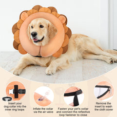 BEAUTYZOO Lion XL adjustable reflective straps ensure safe night-time wear.