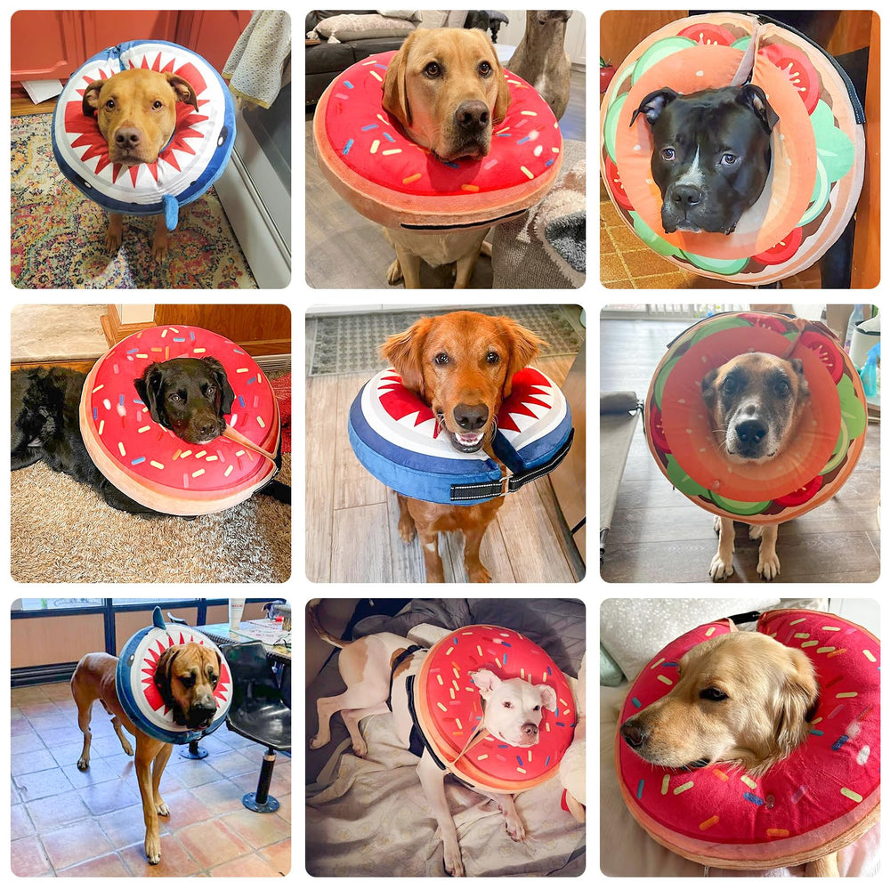 BEAUTYZOO machine-washable donut collar for easy cleaning.