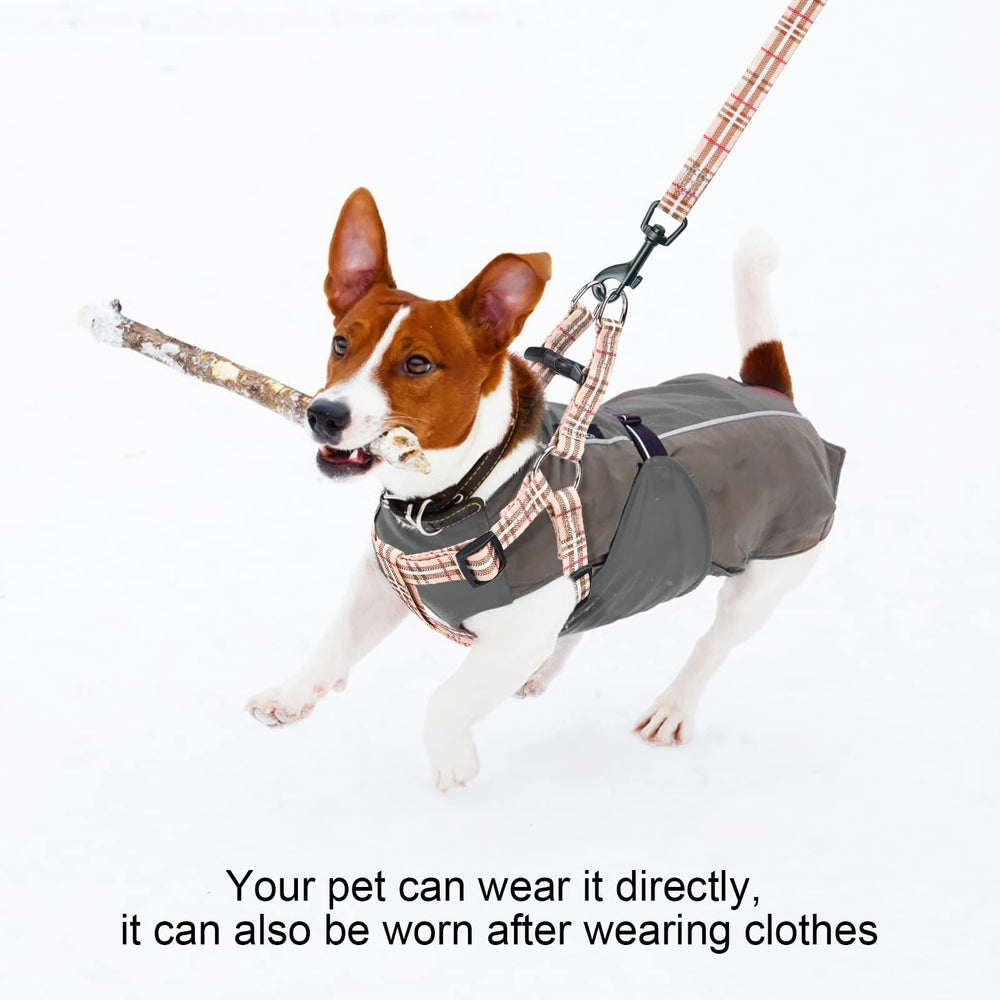 BEAUTYZOO No Pull harness beige travel-ready packaging ideal for trips.
