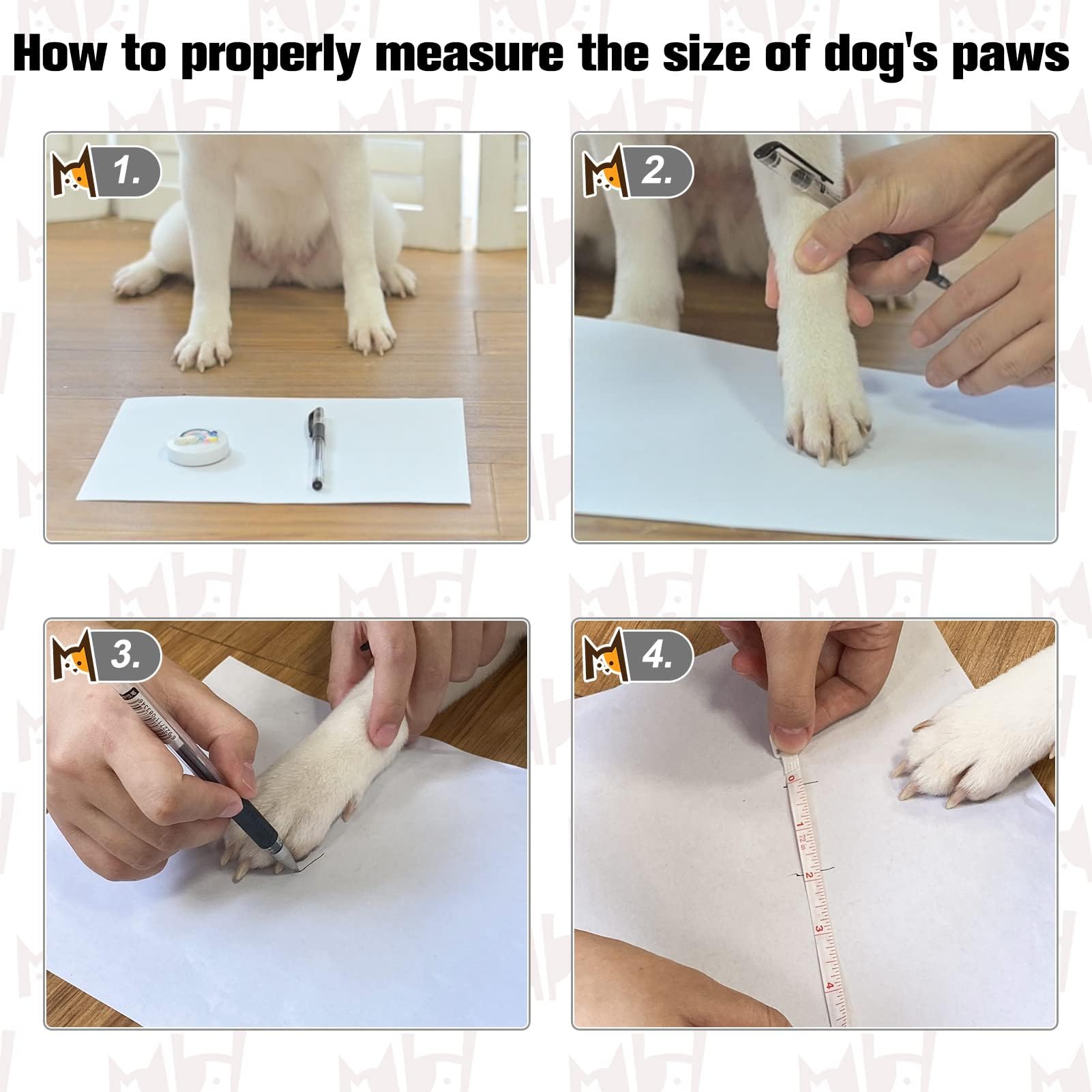 BEAUTYZOO six-pack package with replacements shown in packaging