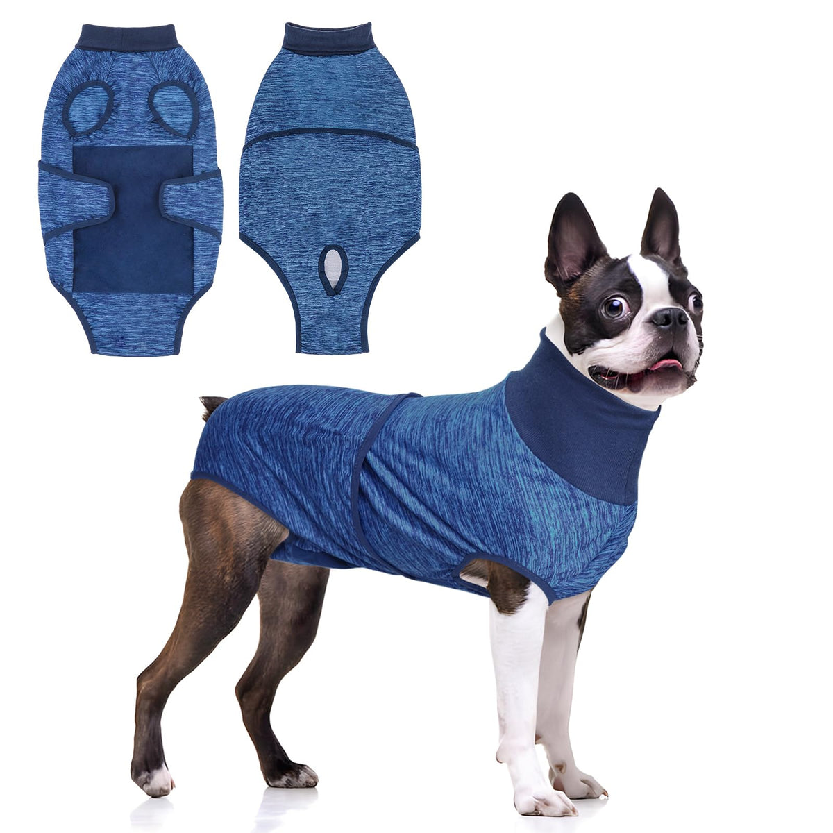Beautyzoo Recovery Suit for Dogs blue side view protects wounds during recovery