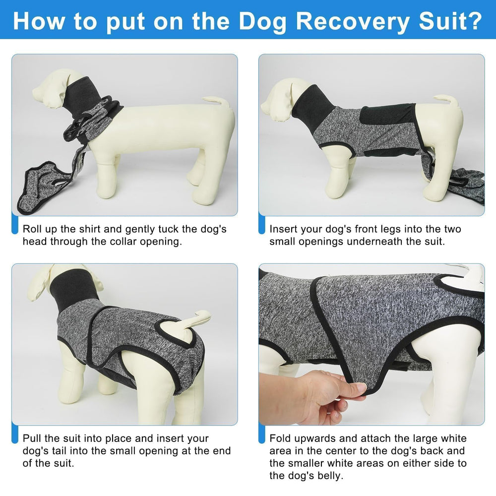 Beautyzoo Recovery Suit in use shows dog moving calmly after surgery
