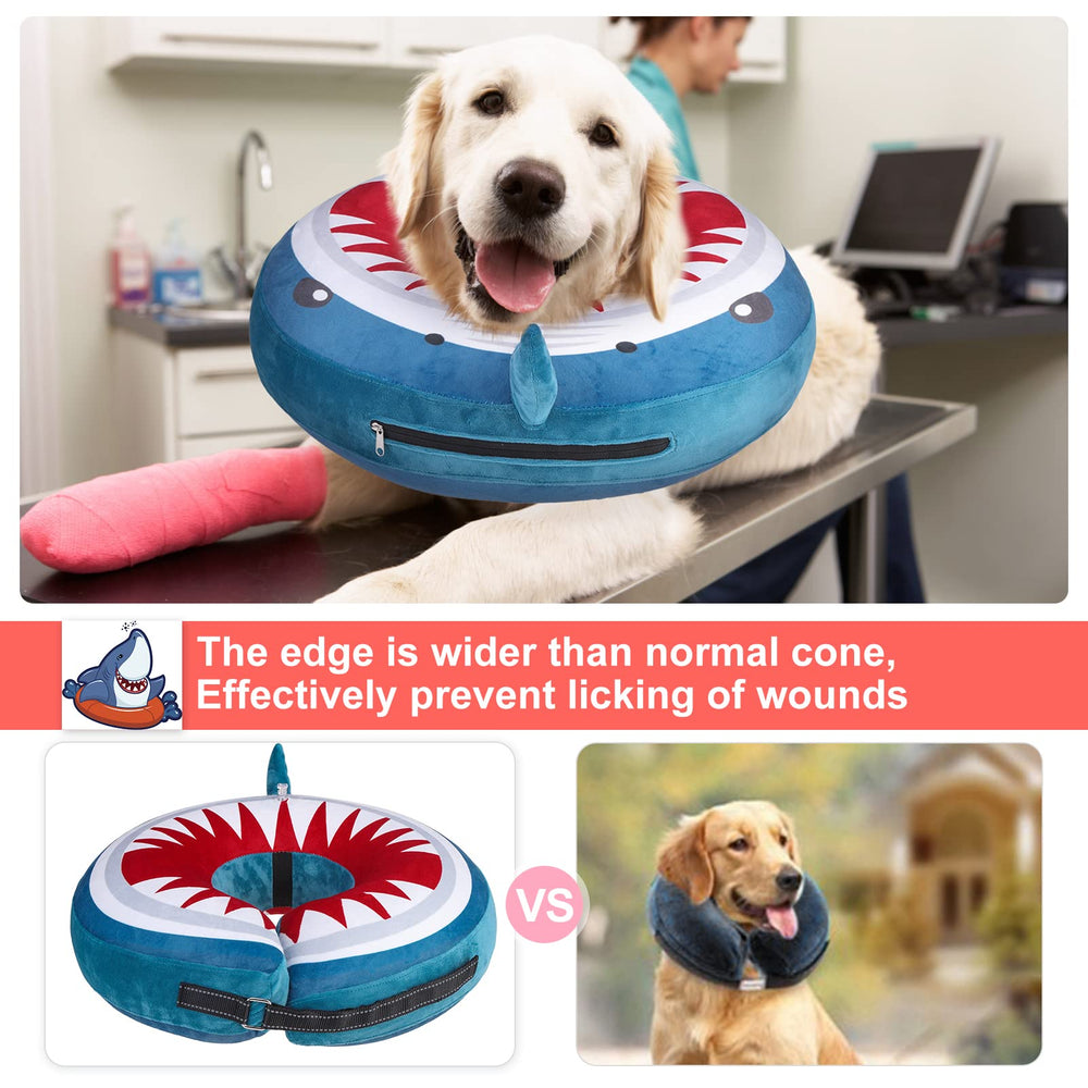BEAUTYZOO reflective strap on shark-blue dog collar at night.