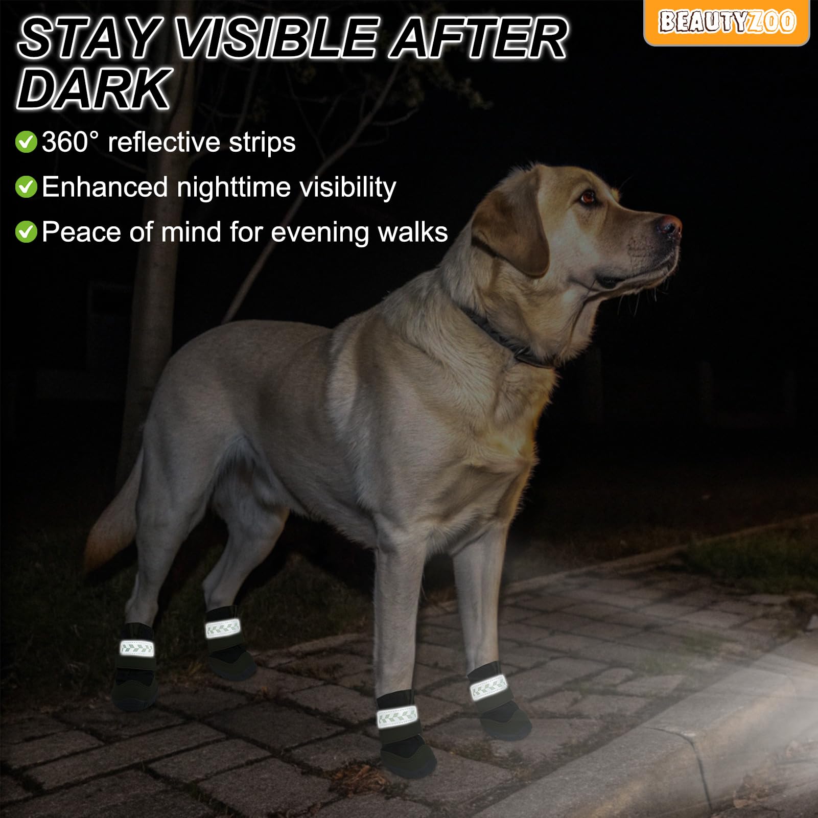 BEAUTYZOO size chart helps measure paw width for proper fit