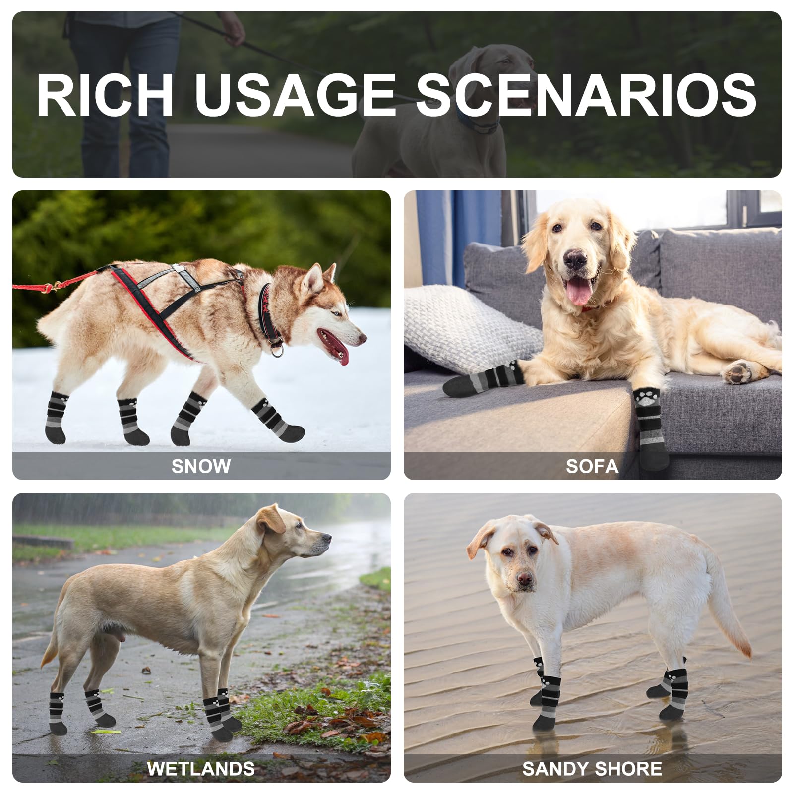 BEAUTYZOO size guide image shows paw width and length for accurate fit.