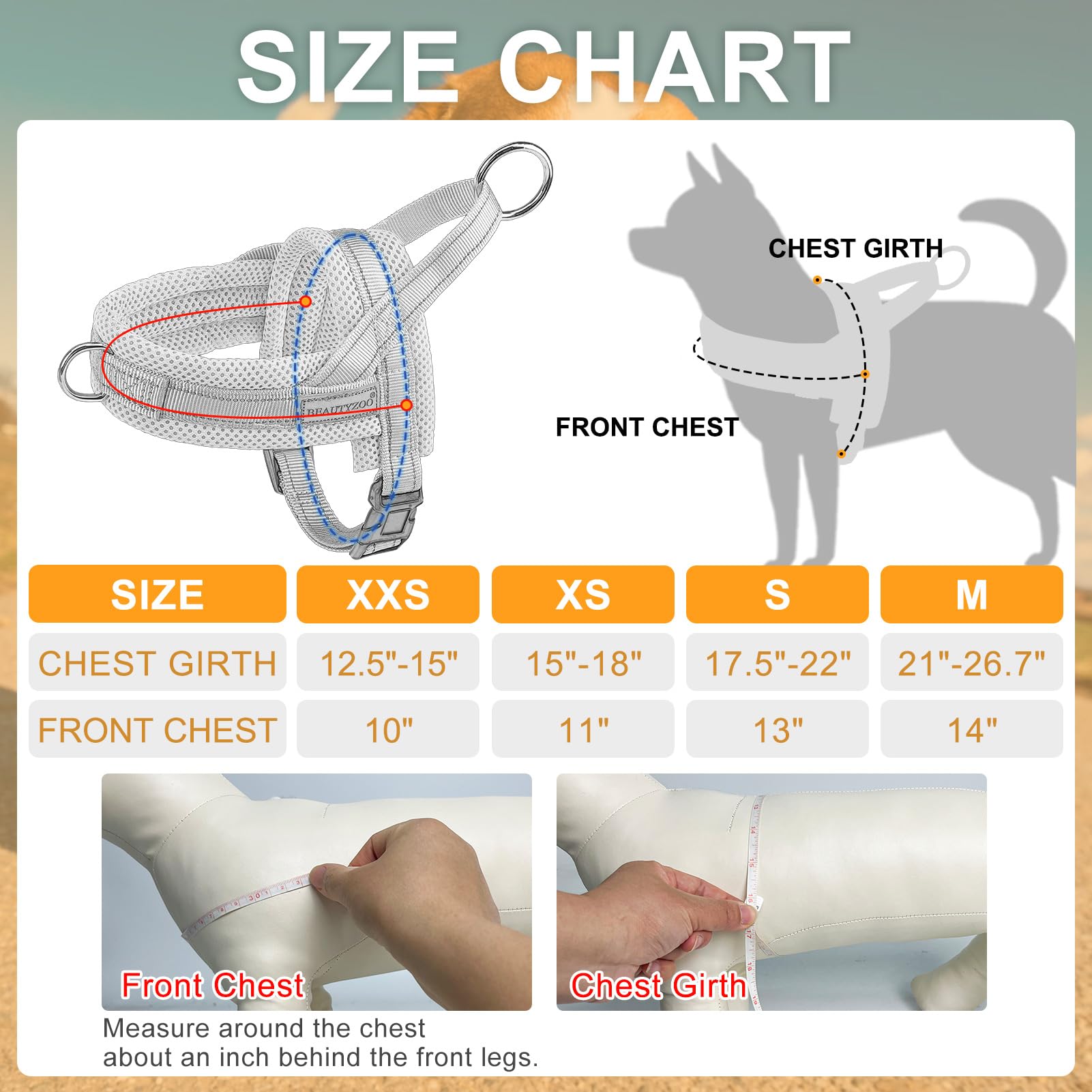 BEAUTYZOO size guide highlights four-size options for accurate fit