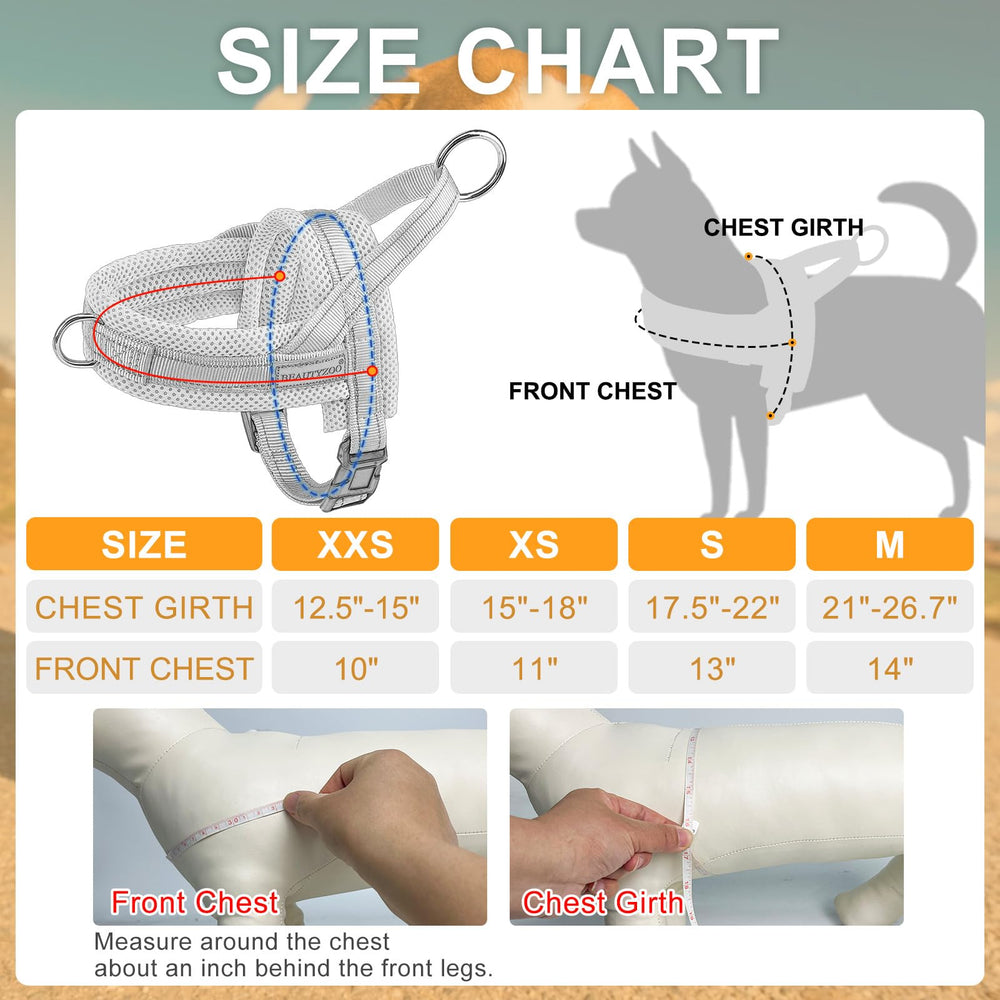 BEAUTYZOO size guide highlights four-size options for accurate fit