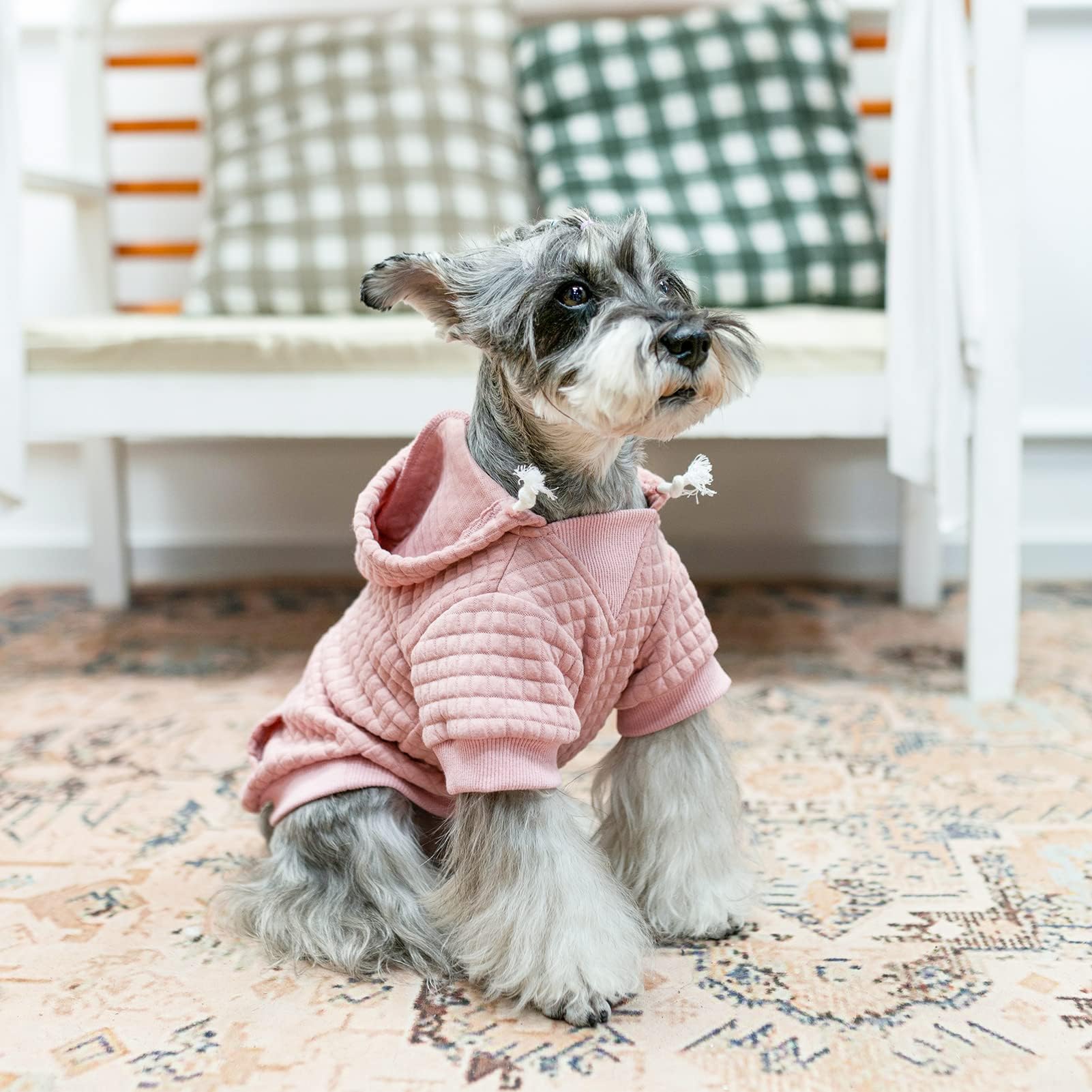 BEAUTYZOO small dog hoodie color collection showcasing stylish options