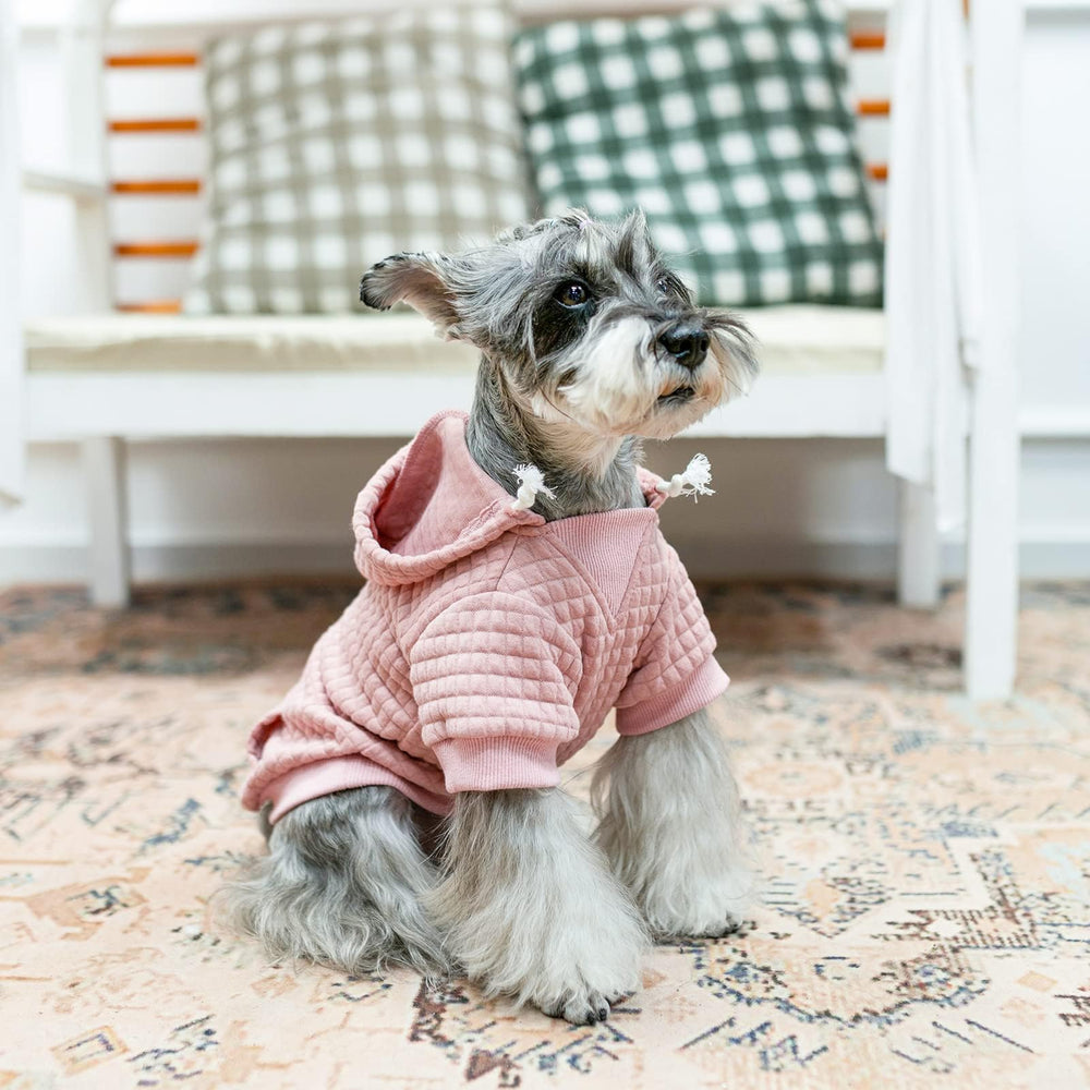 BEAUTYZOO small dog hoodie color collection showcasing stylish options